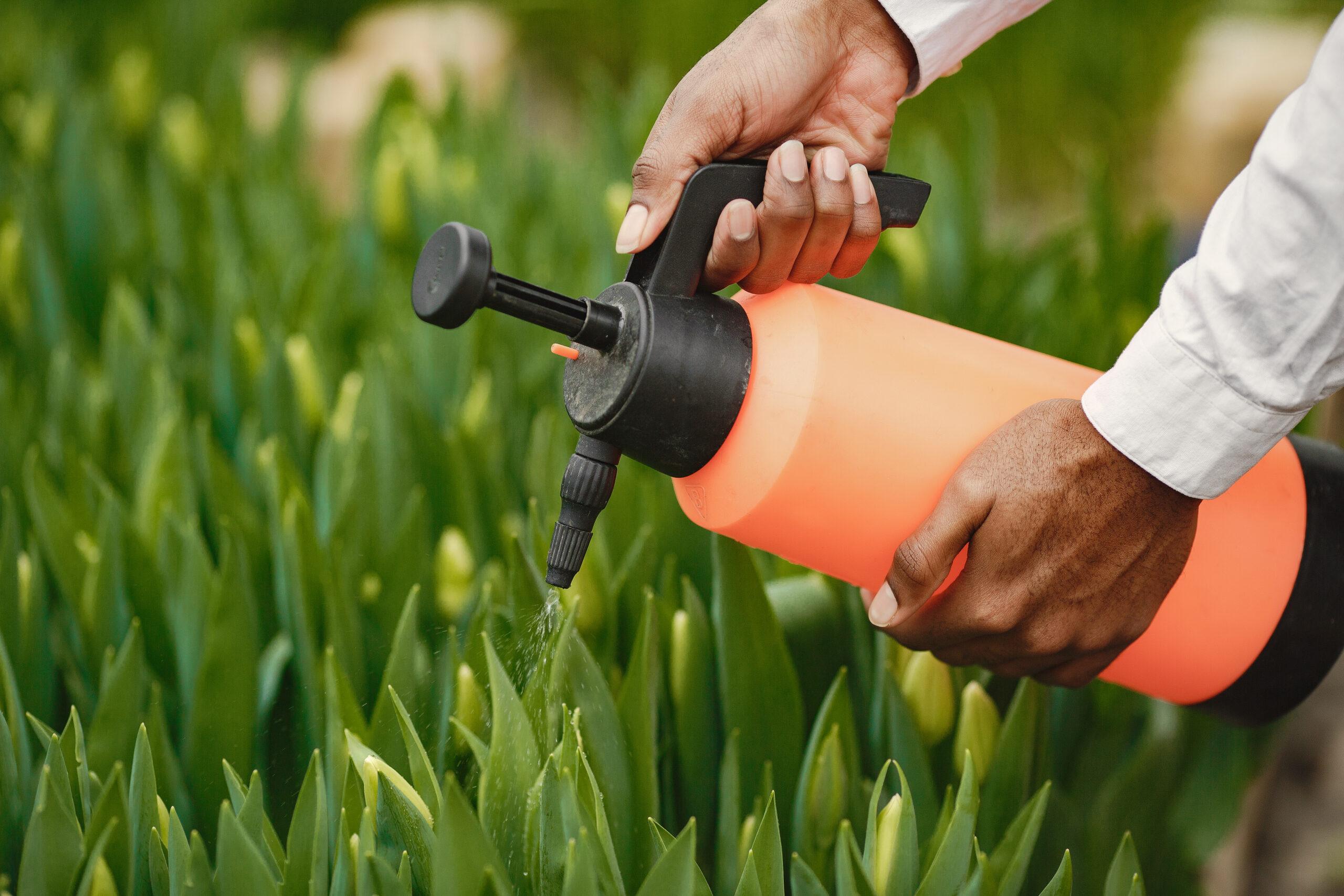 African guy works in garden and waters flowers