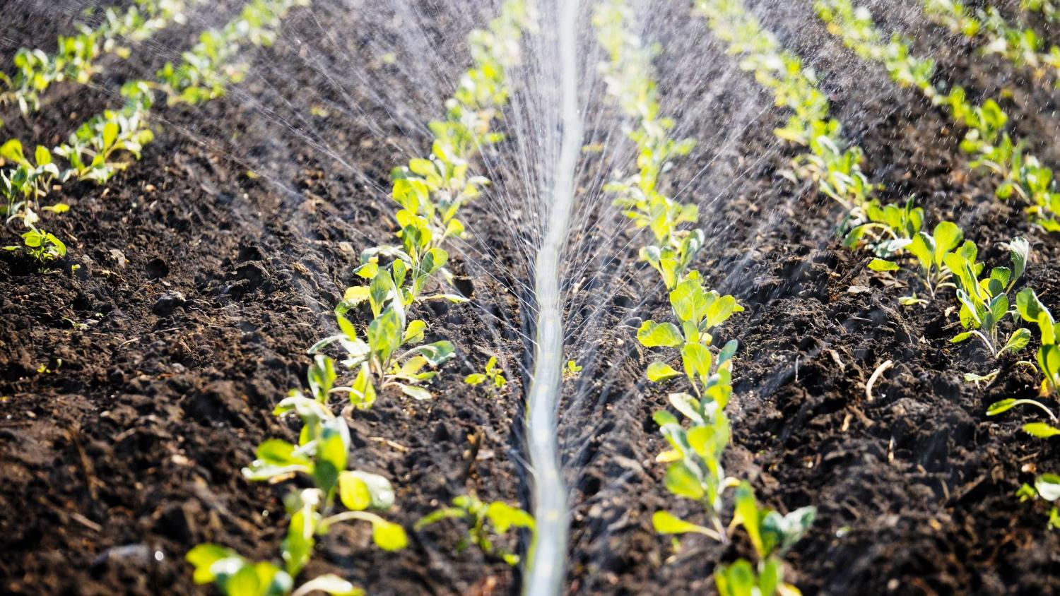sistemas-de-riego